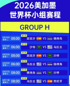 2026世界杯官方比赛用球与球场