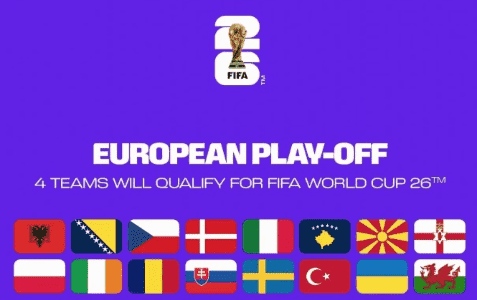 FIFA世界杯奖杯与旗帜